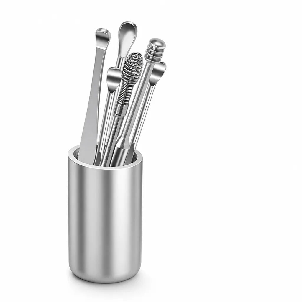 Reusable Stainless Steel Ear Care Kit (6-Piece Set)